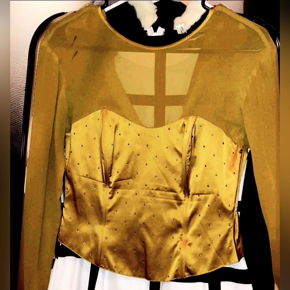 Paul Alexander 100% Silk Beaded Corset Bodice Long Sleeve Blouse  Gold Buttons 4